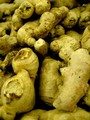 http://www.sxc.hu/photo/193563